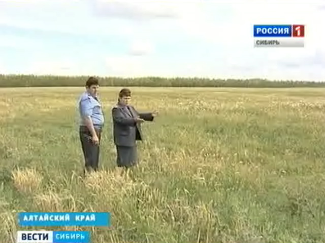 В регионах Сибири хотят ужесточить санкции за неиспользование земли по назначению