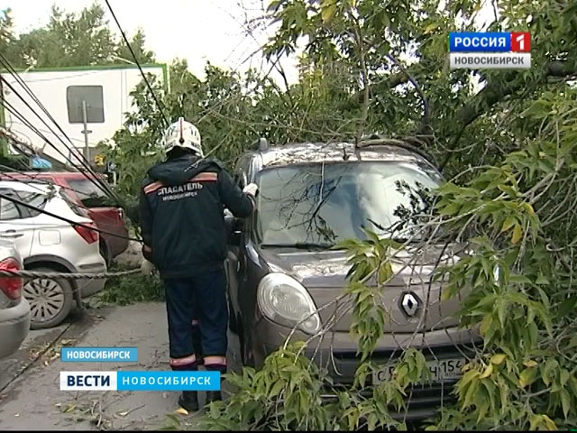 Ураганный ветер рвал провода и валил деревья в Новосибирске