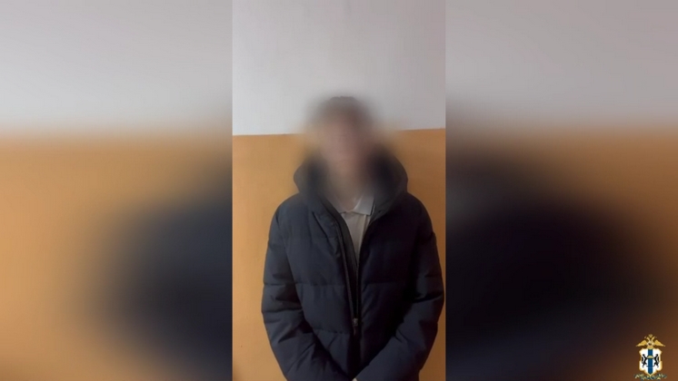 В Новосибирске поймали 15-летнего помощника мошенников