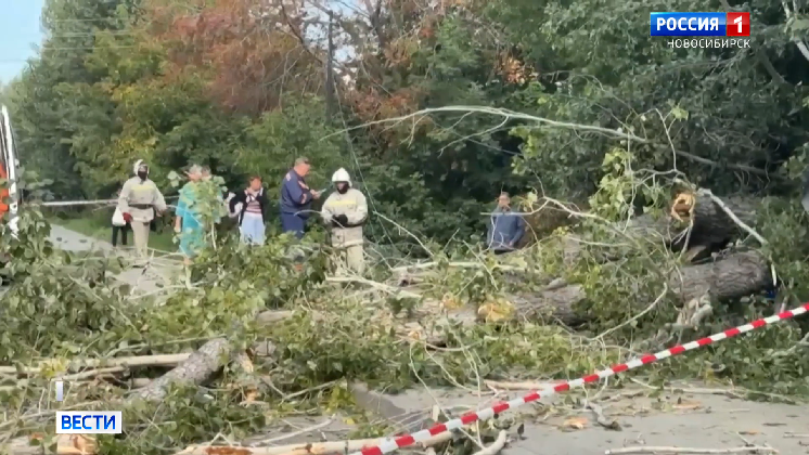 В Новосибирске пострадавшей на остановке женщине заплатят полмиллиона рублей