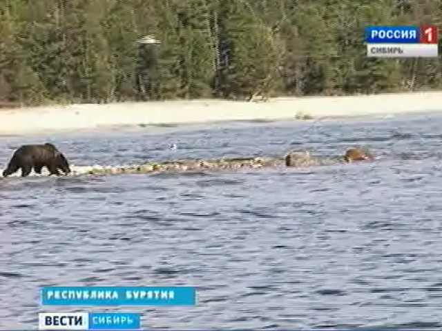 В Бурятии объединили два заповедника на берегах Байкала