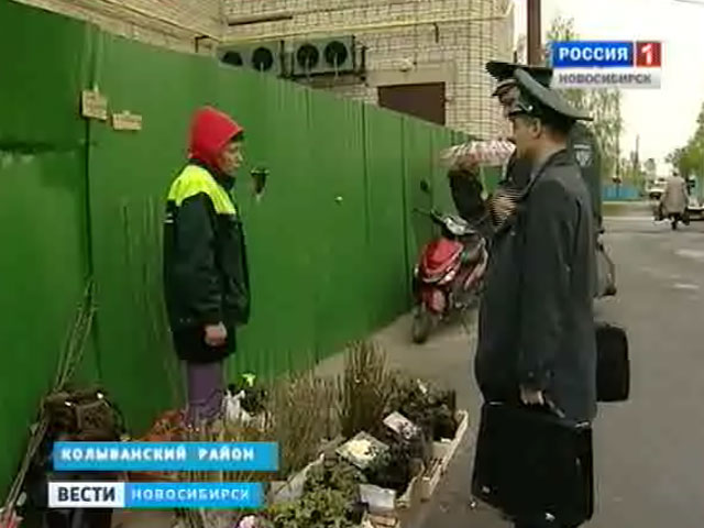 На стихийных рынках Новосибирска проверяют продавцов посадочного материала