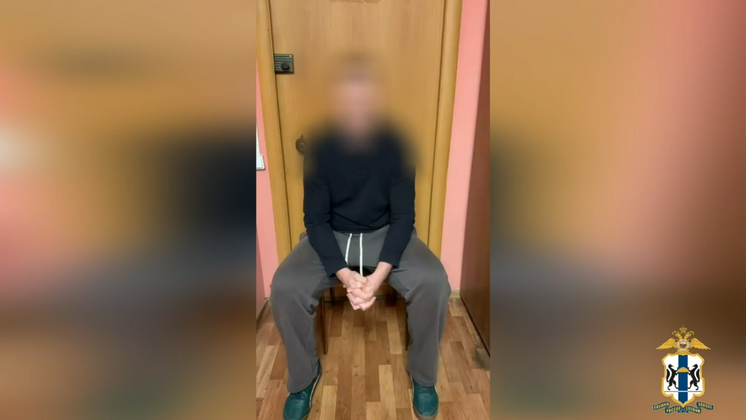 В Новосибирске 17-летний подросток стал курьером мошенников по наводке друга