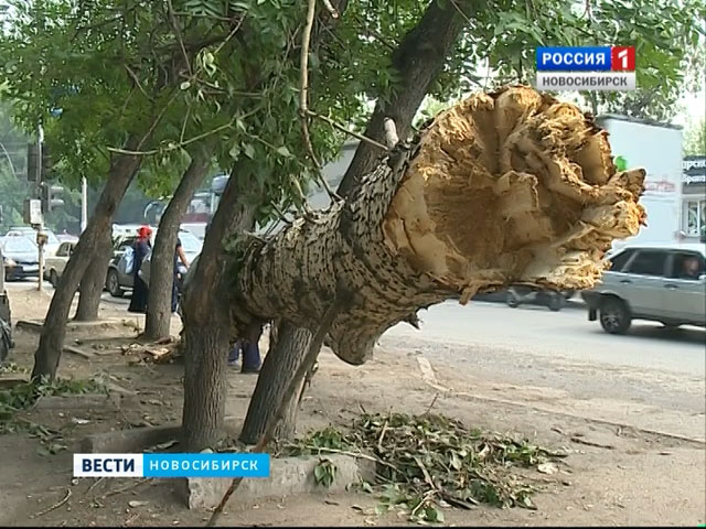 Новосибирск подсчитывает потери и устраняет последствия урагана