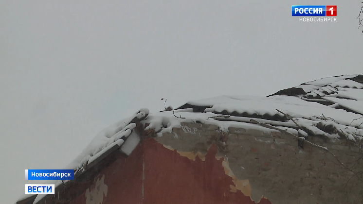 Новосибирцы четвёртый месяц живут с дырявой крышей из-за рухнувшего тополя