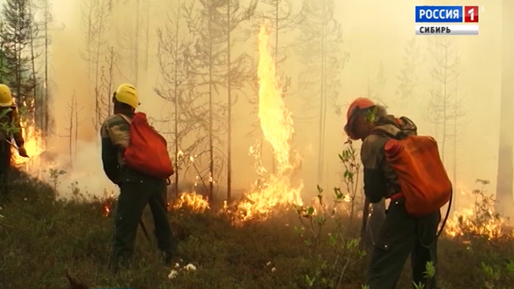 Бурятию накрыло дымом от сильных лесных пожаров