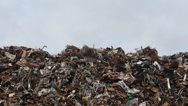 В «ВИС» признали невозможность реализовать мусорную концессию на старых условиях в Новосибирской области