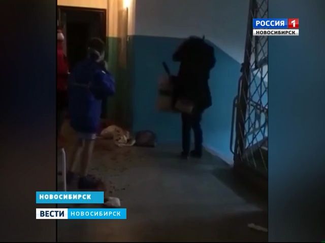В сети появилось видео задержания 16-летней налётчицы на семью в Ленинском районе