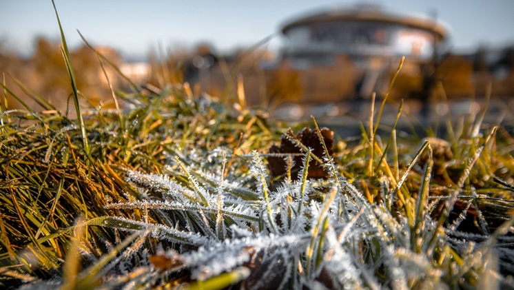 Заморозки до -3 °С придут в Новосибирскую область в первые дни сентября