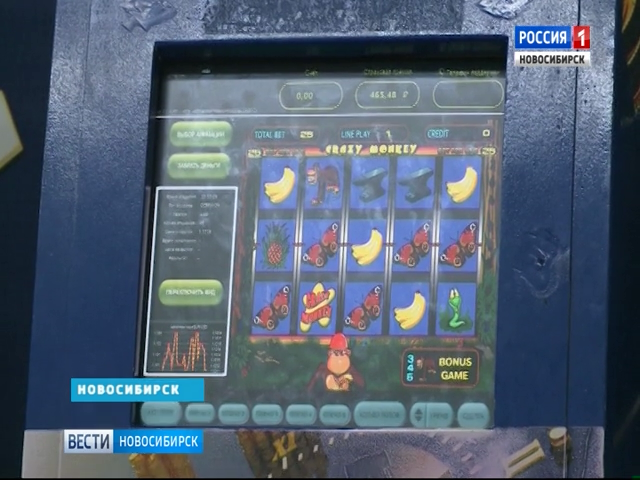 Новосибирские депутаты намерены закрыть брешь в законе об игровых автоматах