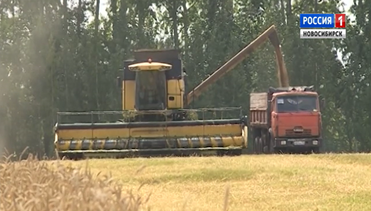 За работу в сельской местности новосибирские аграрии получат 200 тысяч рублей