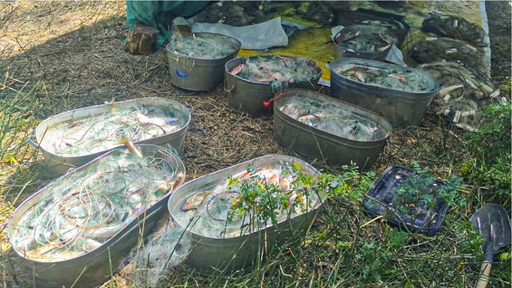 Новосибирец незаконно наловил рыбы почти на три миллиона рублей 