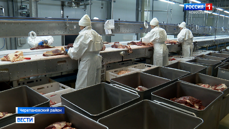 В Черепановском районе готовят к запуску крупное предприятие по переработке мяса