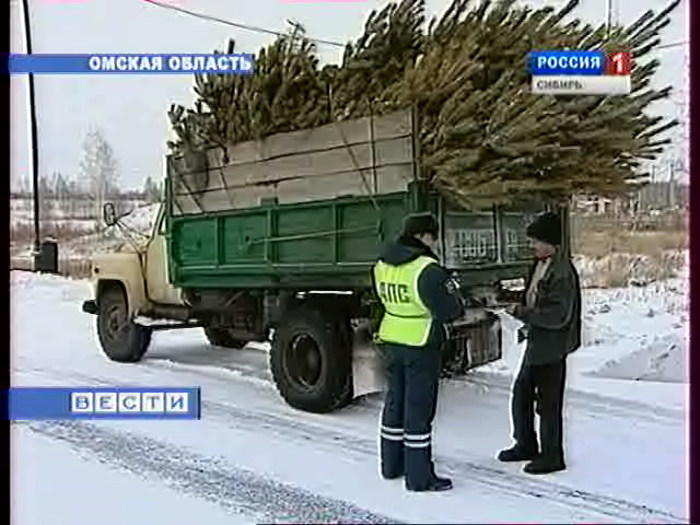 Почём колючий праздник?