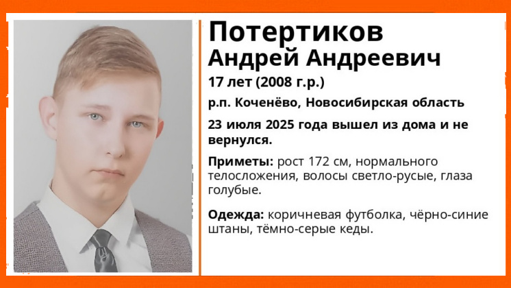 Под Новосибирском без вести пропал 17-летний мальчик в коричневой футболке