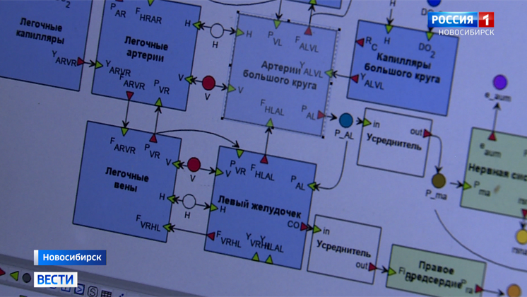 Первую в мире электронную программу подбора лекарств для гипертоников разработали новосибирские учёные
