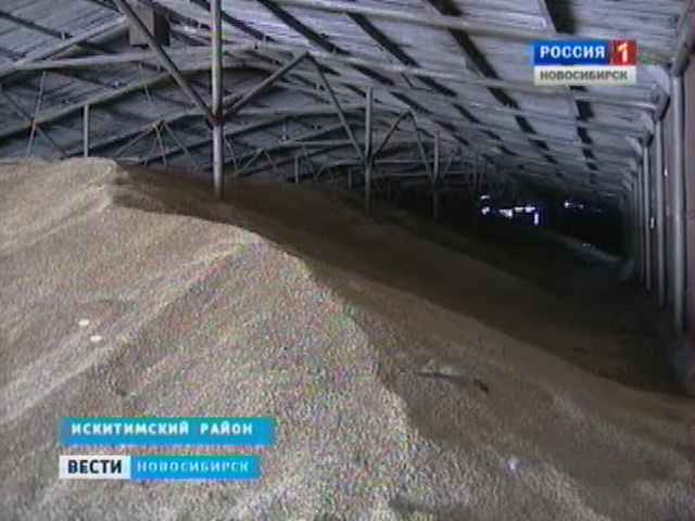 Новосибирские сельхозпроизводители получат более миллиарда рублей на проведение посевной