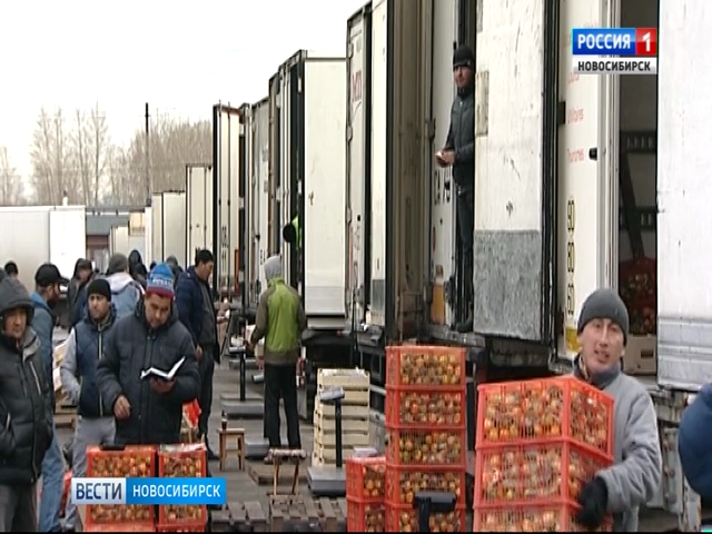 Полсотни мигрантов выдворят из России после рейда на Хилокском рынке