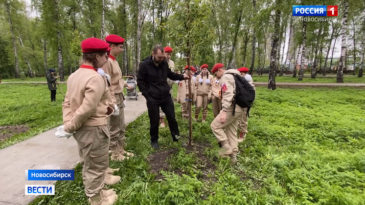 Новый сад памяти высадили в сквере Героев Донбасса в Новосибирске