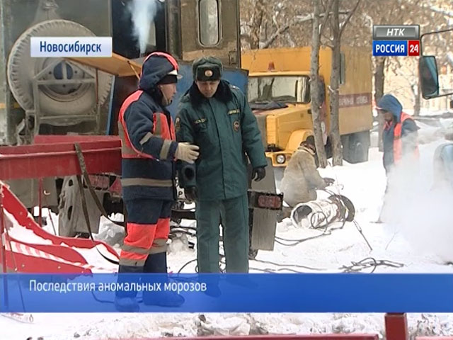 Последствия аномальных морозов в Новосибирске