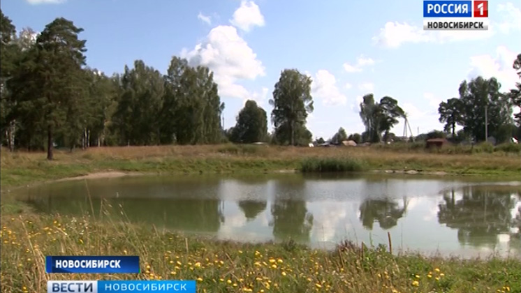 Озеро Мышкино в Пашино благоустроят в рамках национального проекта
