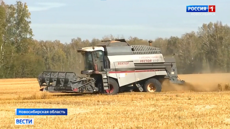 Рекорды по урожаю бьют новосибирские аграрии в условиях антироссийских санкций