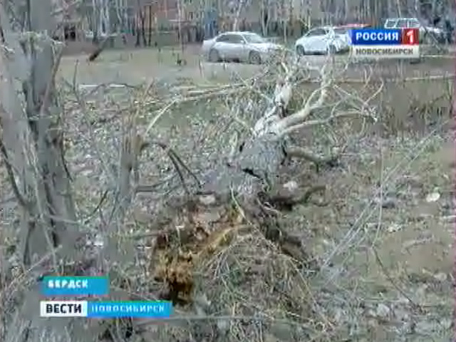 В Новосибирской области устраняют последствия штормового ветра
