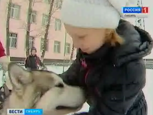 Воспитанников одного из детских домов Иркутска прокатили на собачьих упряжках