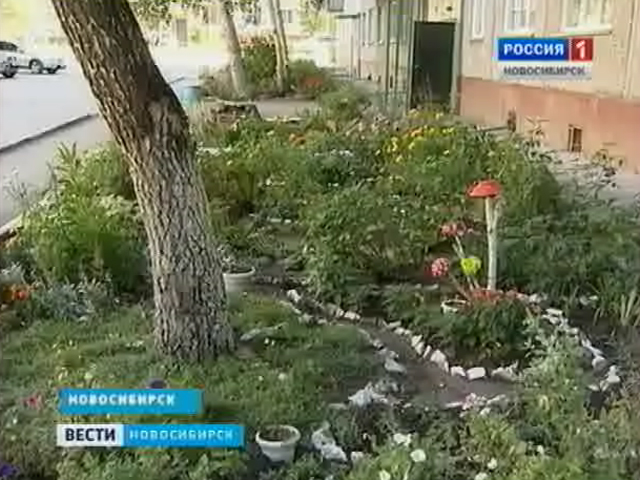 Шестьсот с лишним дворов благоустроили в этом году в Новосибирске