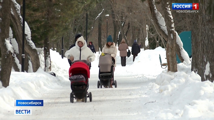 Аномальную оттепель в Новосибирской области уже 11 февраля сменят новые морозы
