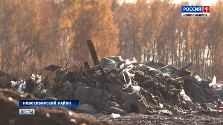 Территорию новосибирского садового товарищества завалили строительным мусором
