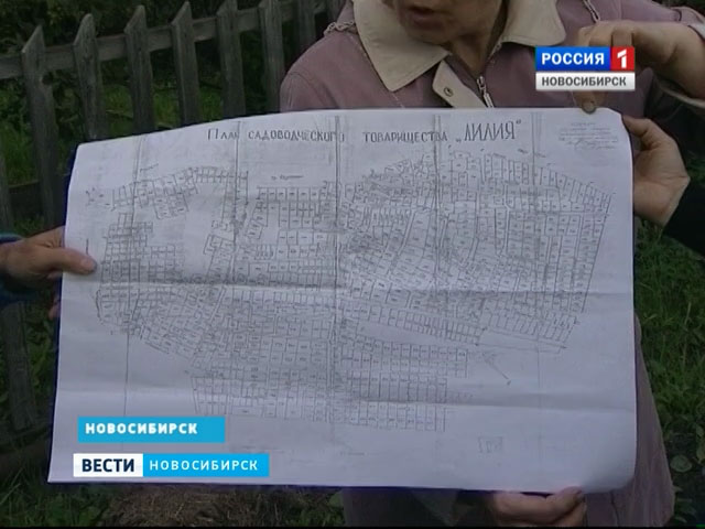 В России проведут перепись дач и огородов