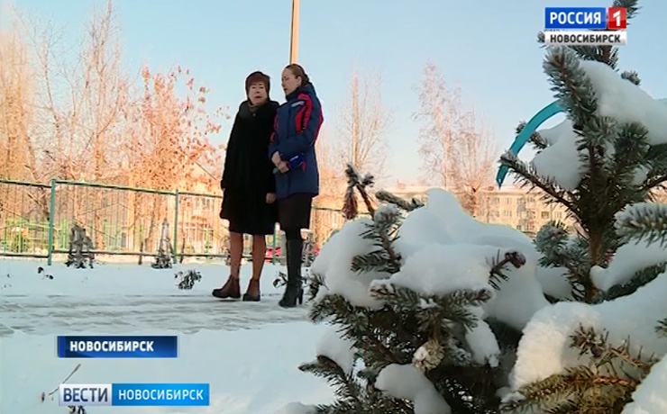 Аллея любви и дружбы на Западном жилмассиве: «Я – Новосибирск. Портрет микрорайона»