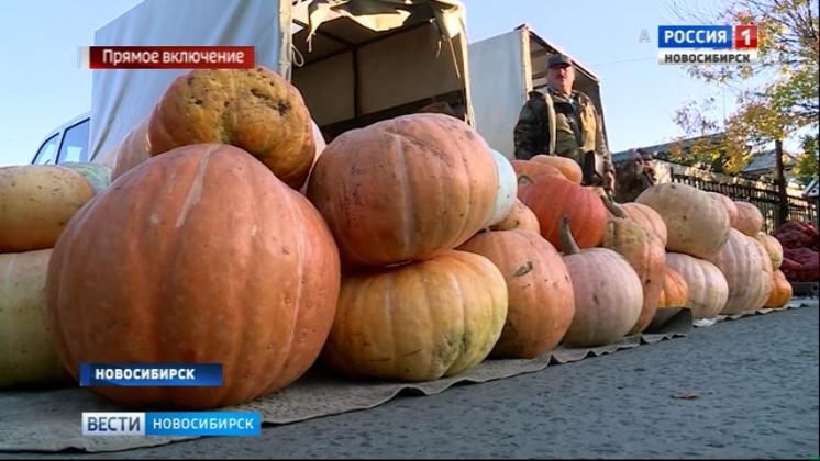 В Новосибирске проходят сельскохозяйственные ярмарки