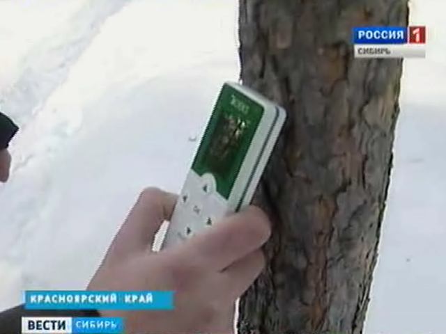 Жители нескольких деревень Красноярского края могут лишиться дохода из-за псевдорадиации