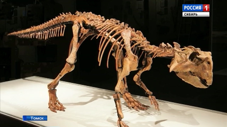 Томские ученые назвали новый вид динозавра в честь Сибири