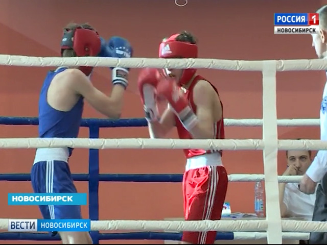 В Новосибирске стартовал областной чемпионат по боксу среди юниоров
