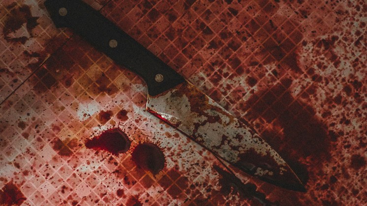 Под Новосибирском жена вонзила в мужа-инвалида нож и получила год условно