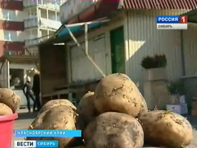 В красноярском крае талые воды разносят опасное заболевание картофеля