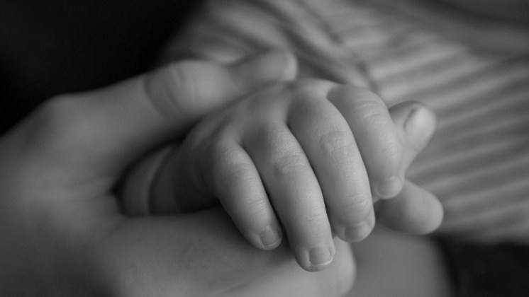 В подвале дома под Новосибирском нашли тело новорожденного ребенка