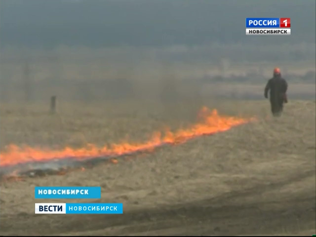 В Новосибирской области обострилась ситуация с пожарами в полях и лесных массивах