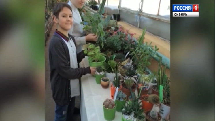Красноярские школьники создают гипоаллергенные духи из концентратов растений