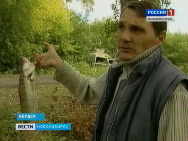 В Новосибирской области уже несколько месяцев плохая рыбалка