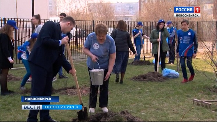 В Дзержинском районе Новосибирска школьники и активисты посадили деревья