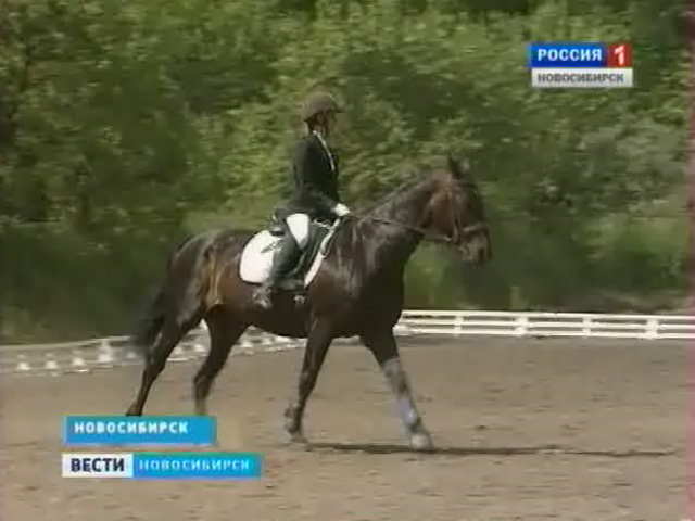 В Академгородке прошли конные игры на приз Кубка мэра города Новосибирска