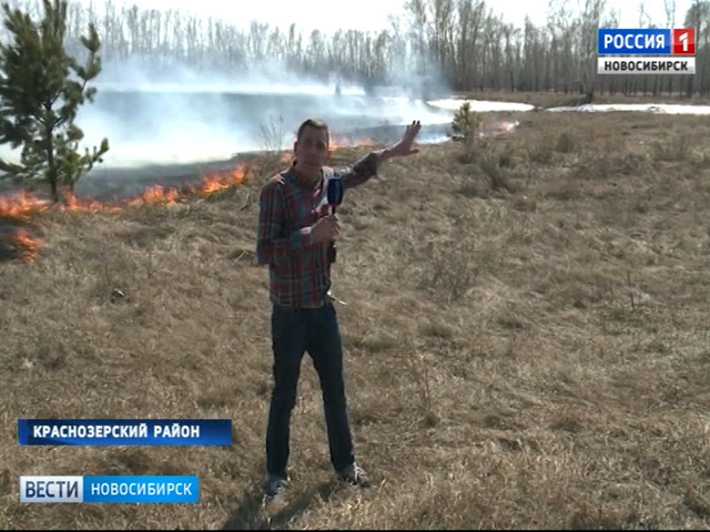 В восьми районах Новосибирской области объявили о начале пожароопасного сезона