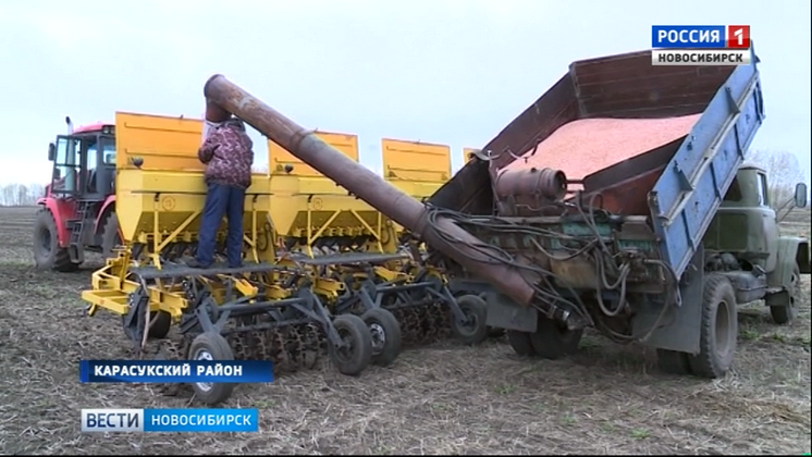 Аграрии Новосибирской области жалуются на срывы сроков посевной из-за холодов