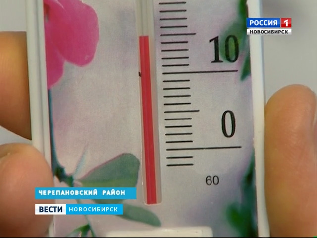 Причину холодных батарей в домах не могут выяснить  в Черепаново