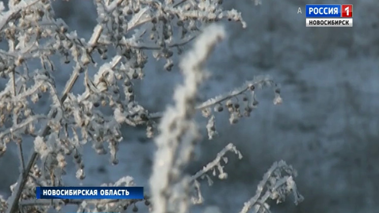 40-градусные морозы пришли на смену снегопадам: школьникам разрешили не ходить на занятия