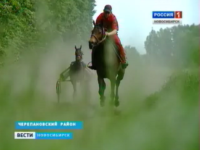 Черепановский район готовится к проведению конных скачек